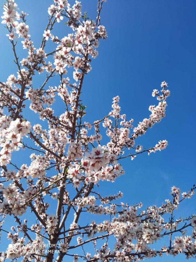 Atico Spa Rural 阿尔卡拉兹 外观 照片