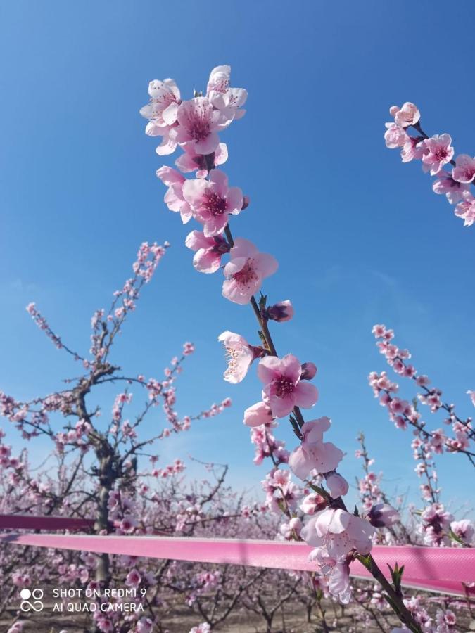 Atico Spa Rural 阿尔卡拉兹 外观 照片